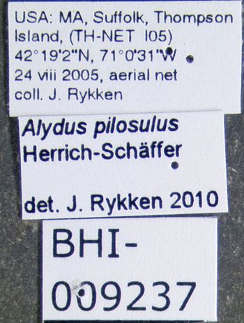Media type: image;   Entomology 619228 Aspect: labels